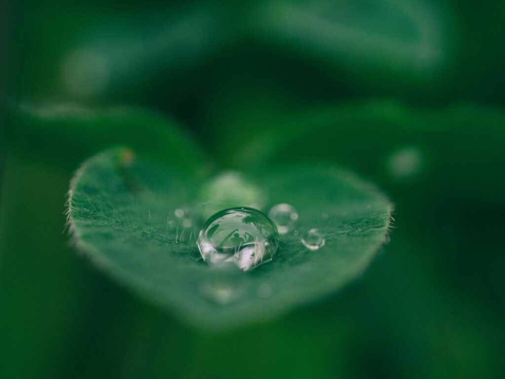 自然の風景画像